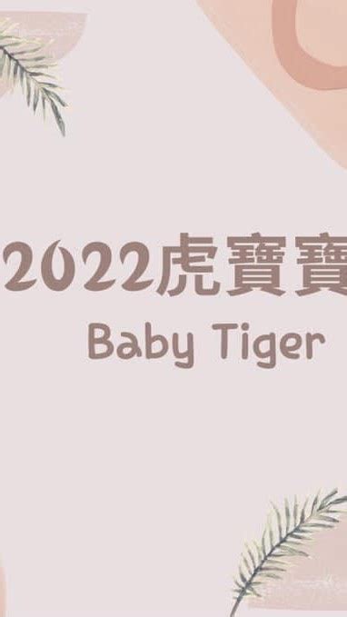 2022虎寶寶